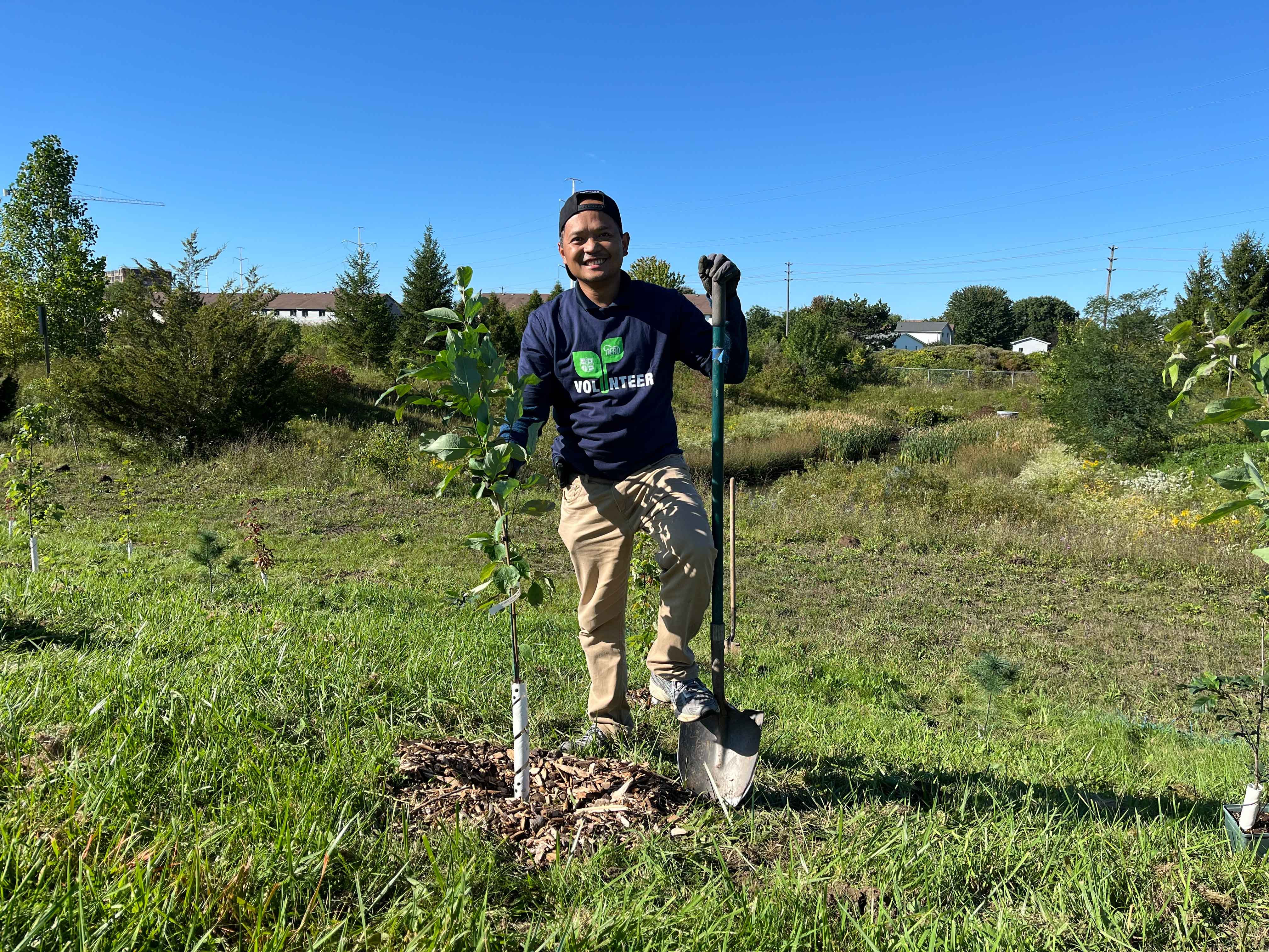 Person holding shovel standing next to tree planted
